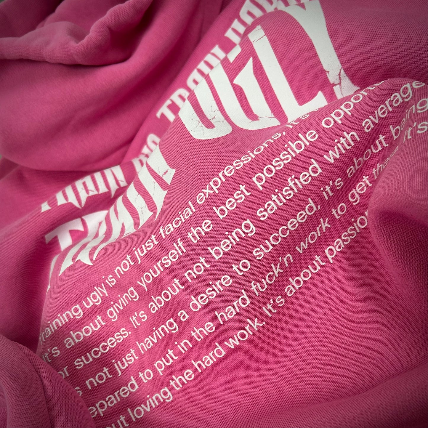 The Training Ugly Hoodie